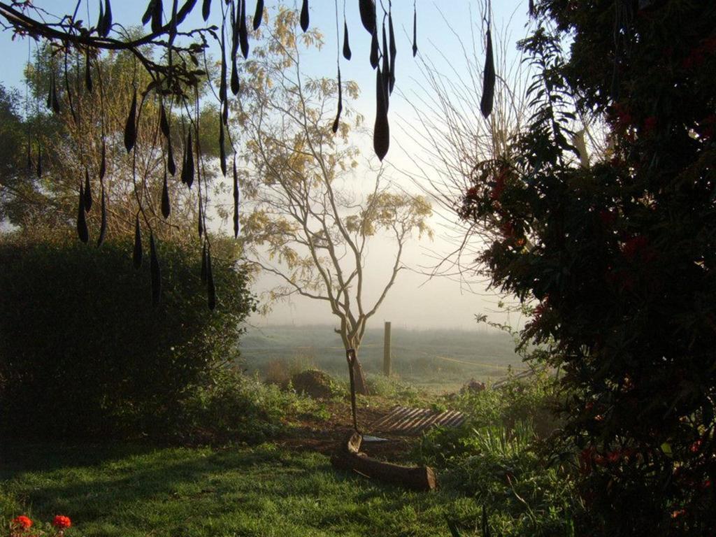 הוילה Lilydale Plovers Ridge Country Retreat חדר תמונה